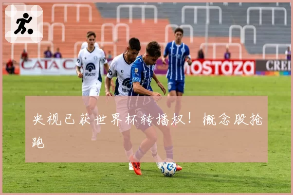 央视已获世界杯转播权!概念股抢跑