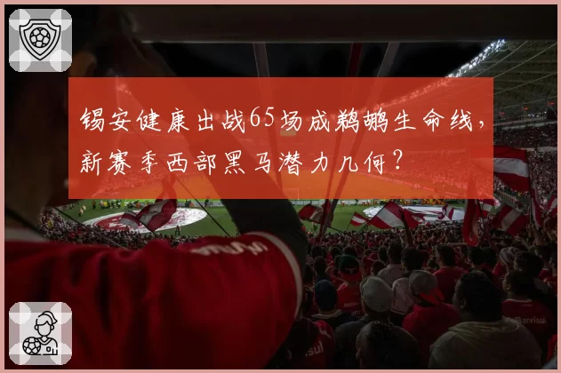锡安健康出战65场成鹈鹕生命线,新赛季西部黑马潜力几何?