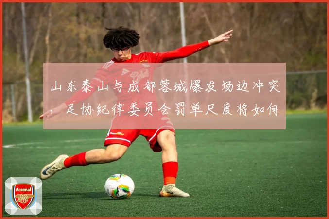 山东泰山与成都蓉城爆发场边冲突,足协纪律委员会罚单尺度将如何校准?